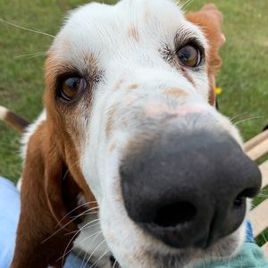 Meet your Posher, Tammy